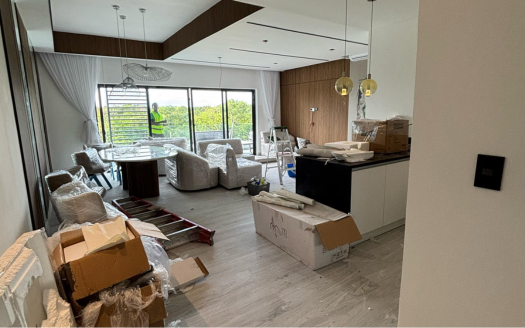 shine up sala en limpieza