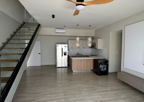 shine up galeria de proyecto miniatura 1