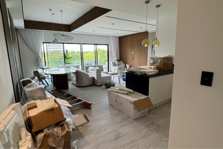 proyectos5 sala shineup